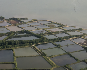 AQUACULTURE MAGAZINE